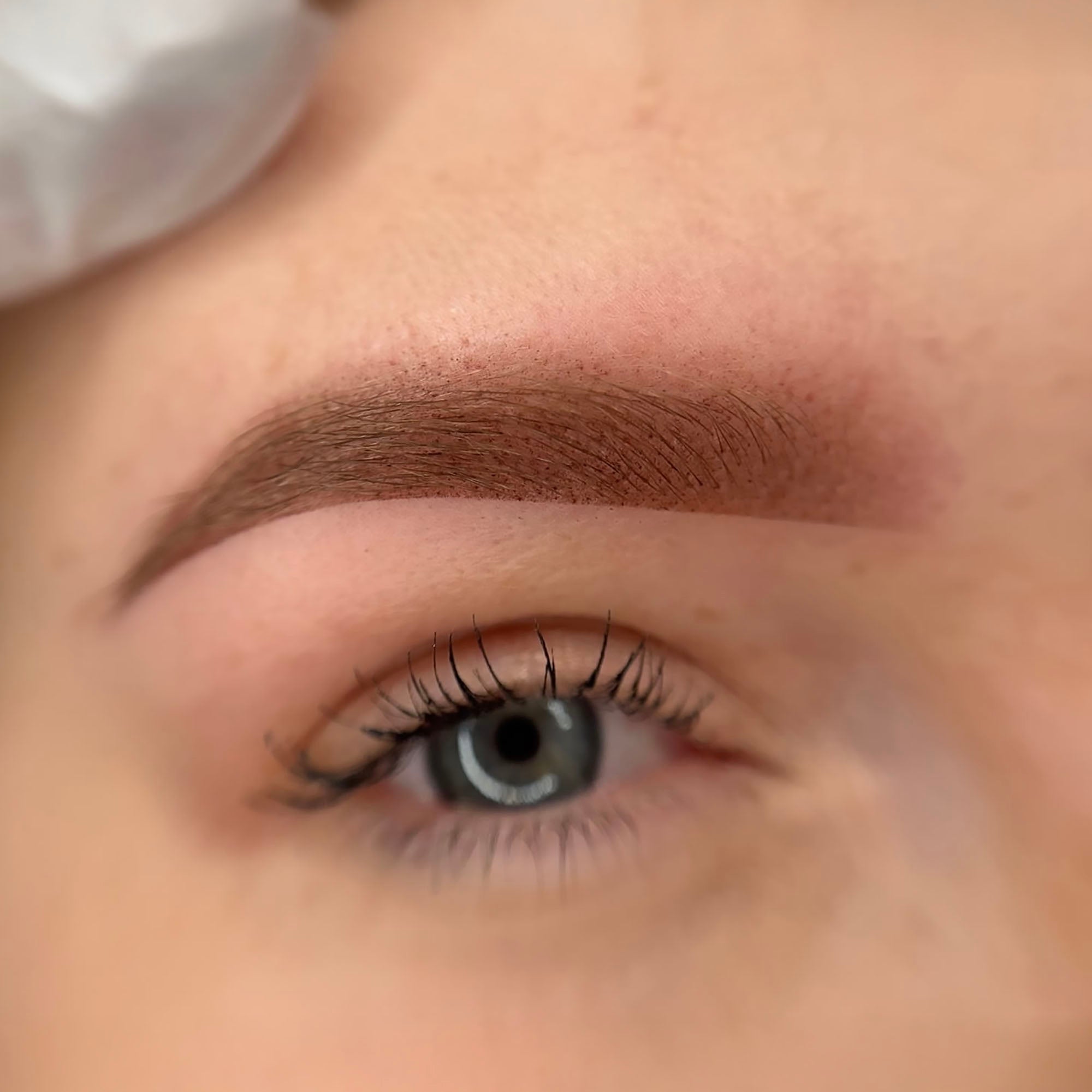 Čerstvé pudrové obočí po permanentním make-upu s jemným stínováním, rovnoměrnou implantací pigmentu a přirozeným gradientem